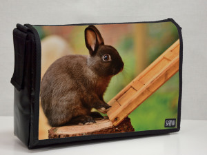 Hase