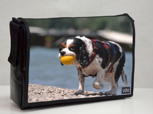 Fotos und Bilder